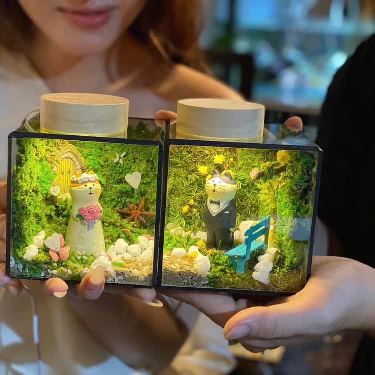Hanoi: Vietnam National Museum & Terrarium Workshop - 2026 (Verified Reviews)