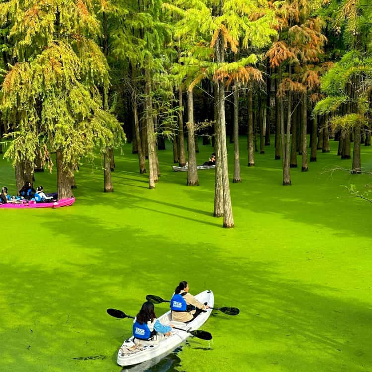 Autumn at Matcha Lake&UNESCO's West Lake: A Living Painting - 2026 (Verified Reviews)
