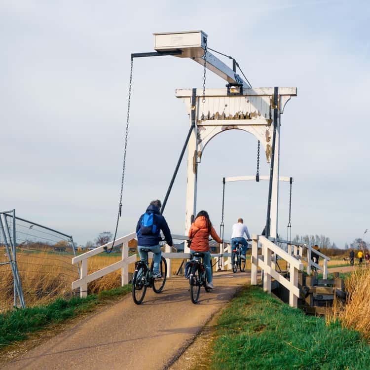analog flanger pedals PRS Wind Through The Trees Dual Pedal Farbe:Senf crafting a batch of Boss FX Bike setting - Shimano