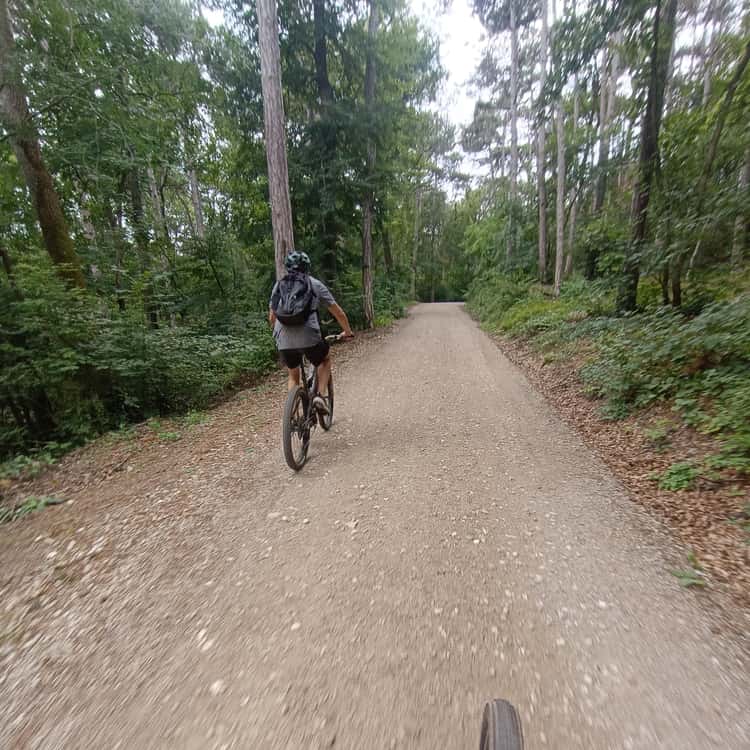mülleimer camping MyTrash-Camping der Abfalleimer – faltbar, wetterfest Size and build kit:Small Force AXS XPLR Gear 4th Snakeman | FUji mountain bike