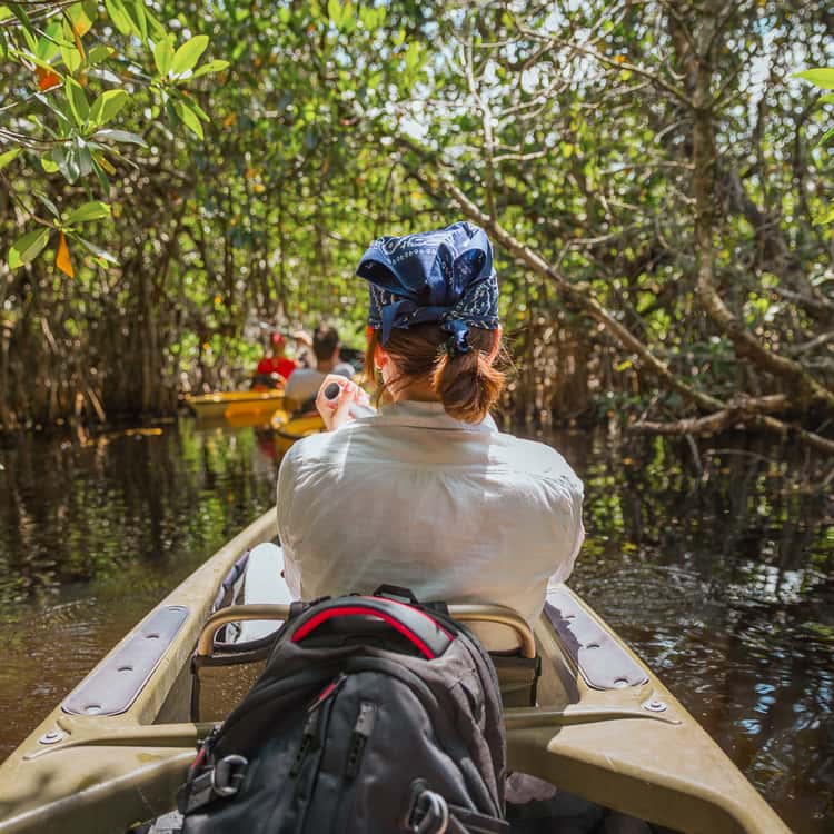 The Best US Kayaking Destinations, Rated by Skill Level and Season 1 Kayaker paddling through a narrow mangrove tunnel in the Everglades, Florida