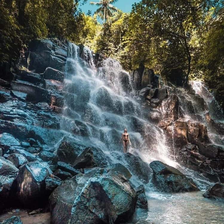 Ubud Half Day Waterfall Tour & Temple - 2026 (Verified Reviews)