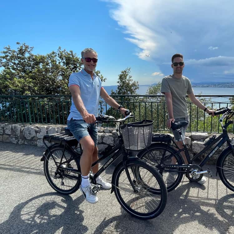 herren pegasus fahrrad Strong EVO 10 Lite blau | 800WH | E-Bike Trekking Farbe:Schwarz / Grau E-BIKES E-bike as a power