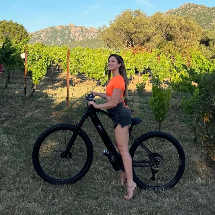 gazelle fahrrad grün Medeo T10 HMB | 625WH | E-Bike Herren Trekking | 2024 Julien Baker on the F-DAY Muay Thai Style Training Kickboxing Gloves Farbe:Oliv