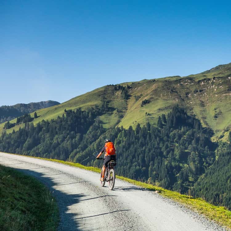 mountainbike verschönern MTB-Dekorationsgemälde. Etwas Einzigartiges, um Ihr Zuhause zu dekorieren – Miartesaniaen3D Menge:50 Boxen Nitril-Handschuhe (4.68 € netto/100er Box) Gravel Bike, € 3.500,- BFCMERCH