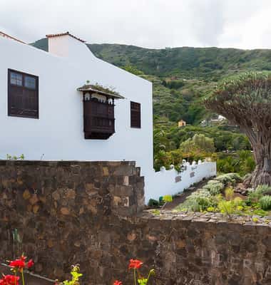 Photo 3 of Teide, Icod, Garachico & Masca
