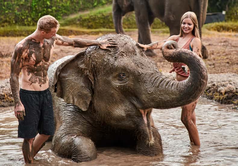 Guided Ethical Elephant Care Experience — photo 2