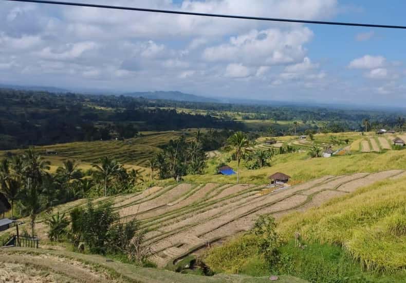 Things To Add Rice Jatiluwih: E-Bike Tour of UNESCO Rice Terraces & Villages - 2026 ...