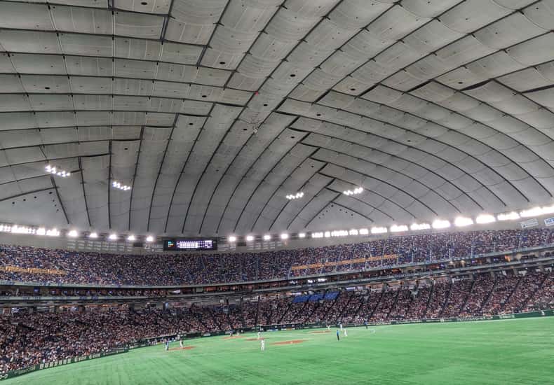 Japan Baseball Tour-Catch a Live Game in Tokyo with a Local — photo 2