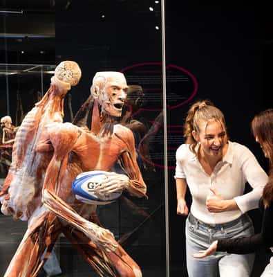 BODY WORLDS Amsterdam Admission