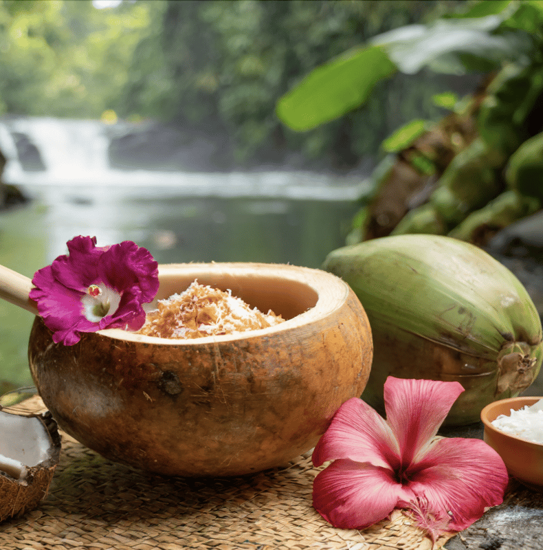 SPA day surrounded by nature, well-being rituals