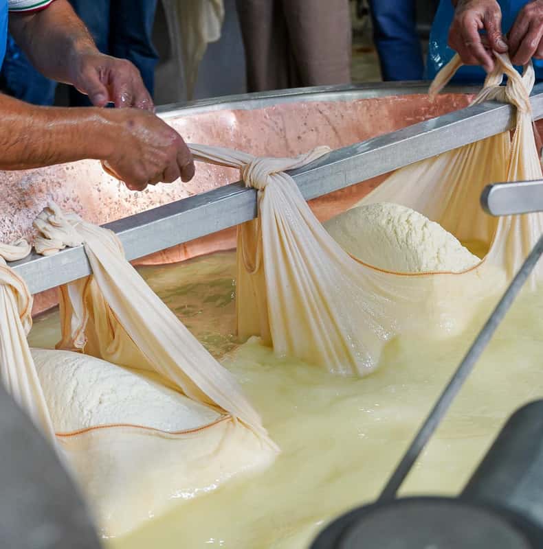 From Milan: Parmigiano and Prosciutto Tour by 1st Class Train