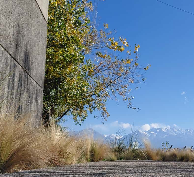 Mendoza: Spa Day with Massage, Lunch, and Winery Tour