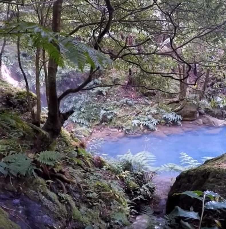 Lagoa do Fogo: E-Tour mit Biologen + heiße Quellen
