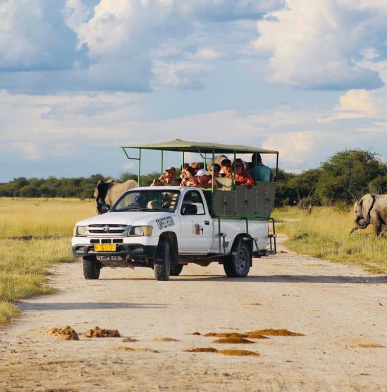 Etosha: full- or half-day open 4×4 game drive – Etosha · Local base Etosha: full- or half-day open 4×4 game drive