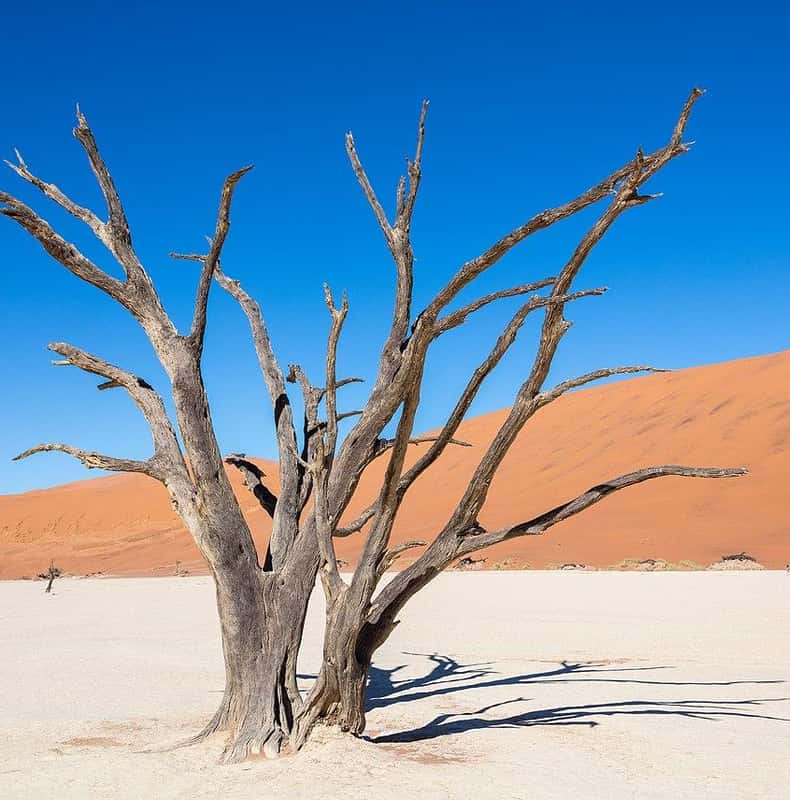 Sossusvlei: three days by shared shuttle from Windhoek