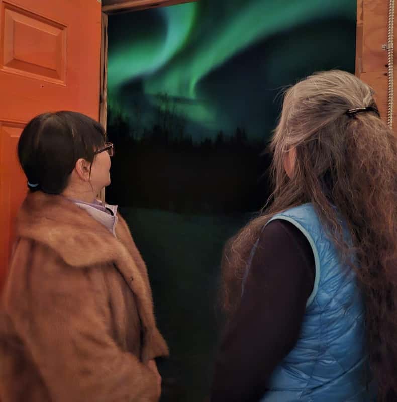 From Yellowknife: Aurora Borealis Tour with Cozy Cabin Base