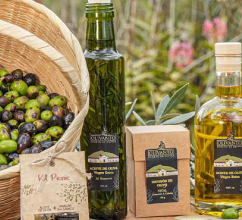Villa de Leyva: Olive Garden Yoga, Tasting, & Meditation