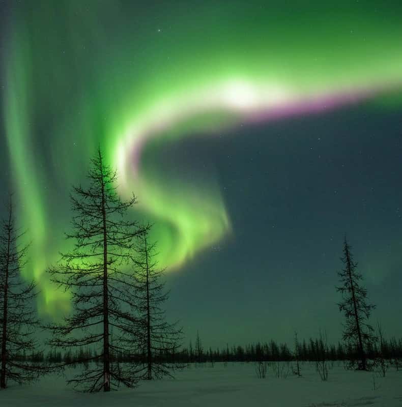 Rovaniemi: Northern Lights Hunters. Aurora + BBQ