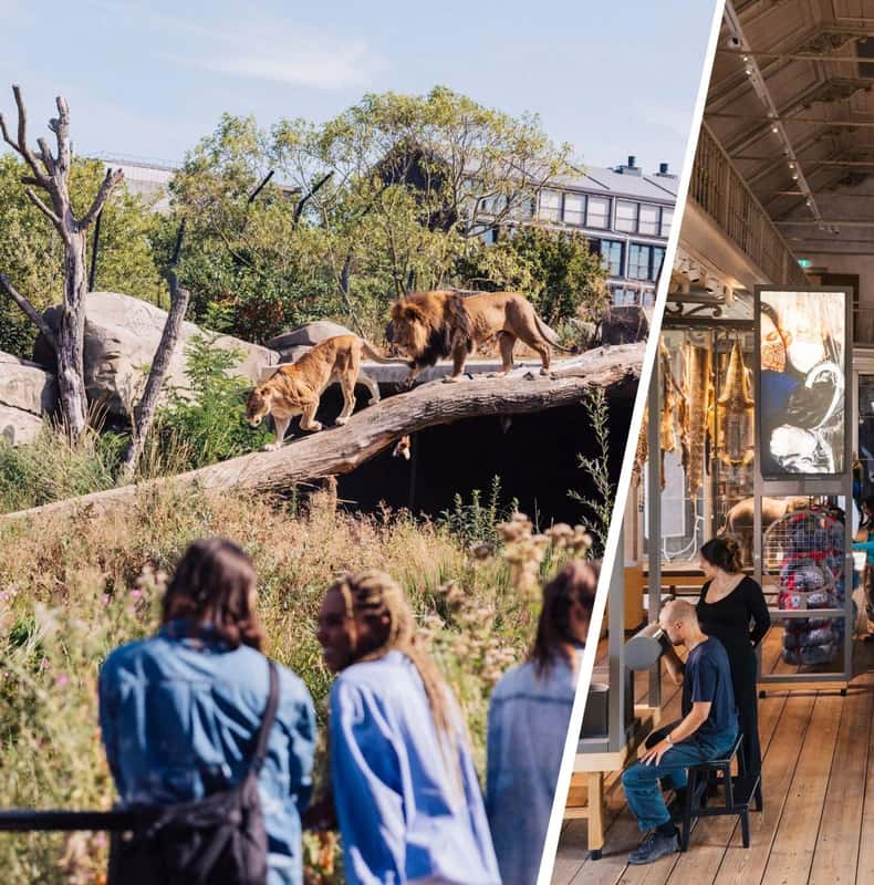 ARTIS Zoo + Groote Museum Admission
