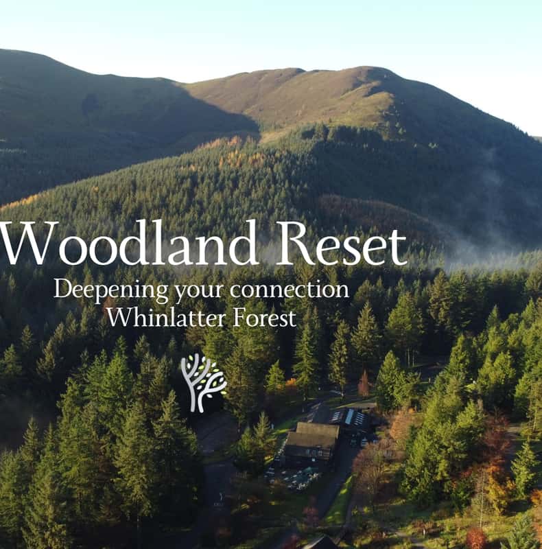 Whinlatter Forest Wellness Day with Sound Bath