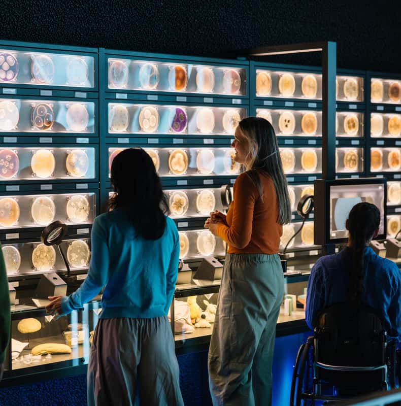 ARTIS-Micropia: Microbe Museum Admission