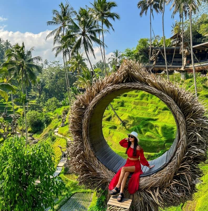 Ubad Rice Ubud: Rice Fields, Waterfall, and Temple Guided Tour - 2026 (Verified ...