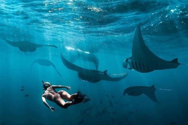 Snorkeling at Manta Point