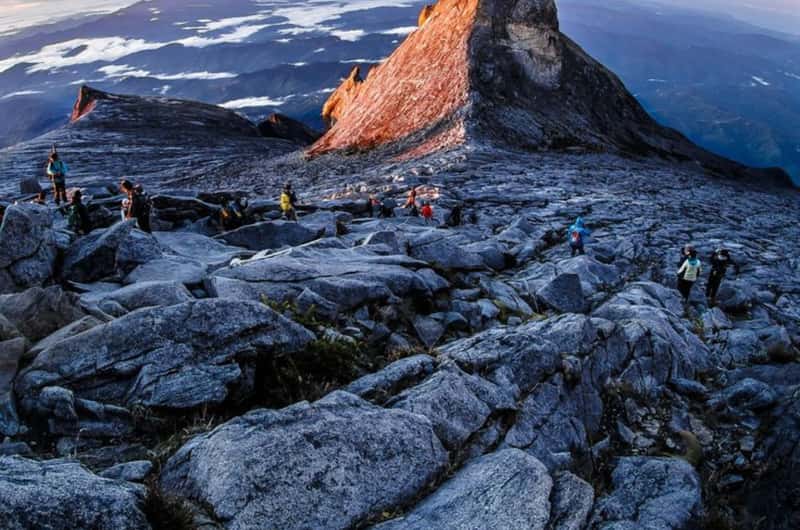 Kinabalu Park, Kota Kinabalu - Book Tickets & Tours - 2026 (Verified Reviews)