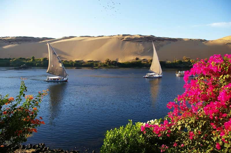 The BEST Things to Do in Aswan - Top Activities in 2026 | GetYourGuide