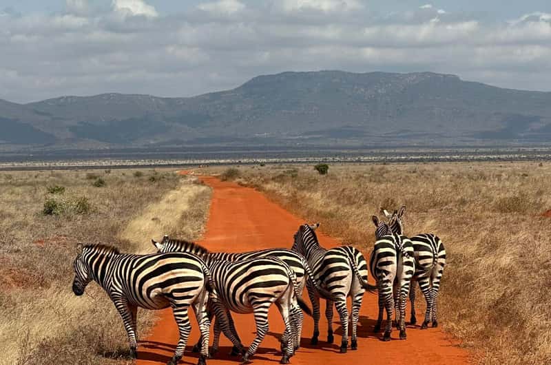 Tsavo East National Park, Coast Province - Book Tickets & Tours - 2026 (Verified Reviews)
