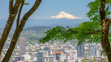 Your guide to Portland, Oregon, in spring: 8 essential experiences