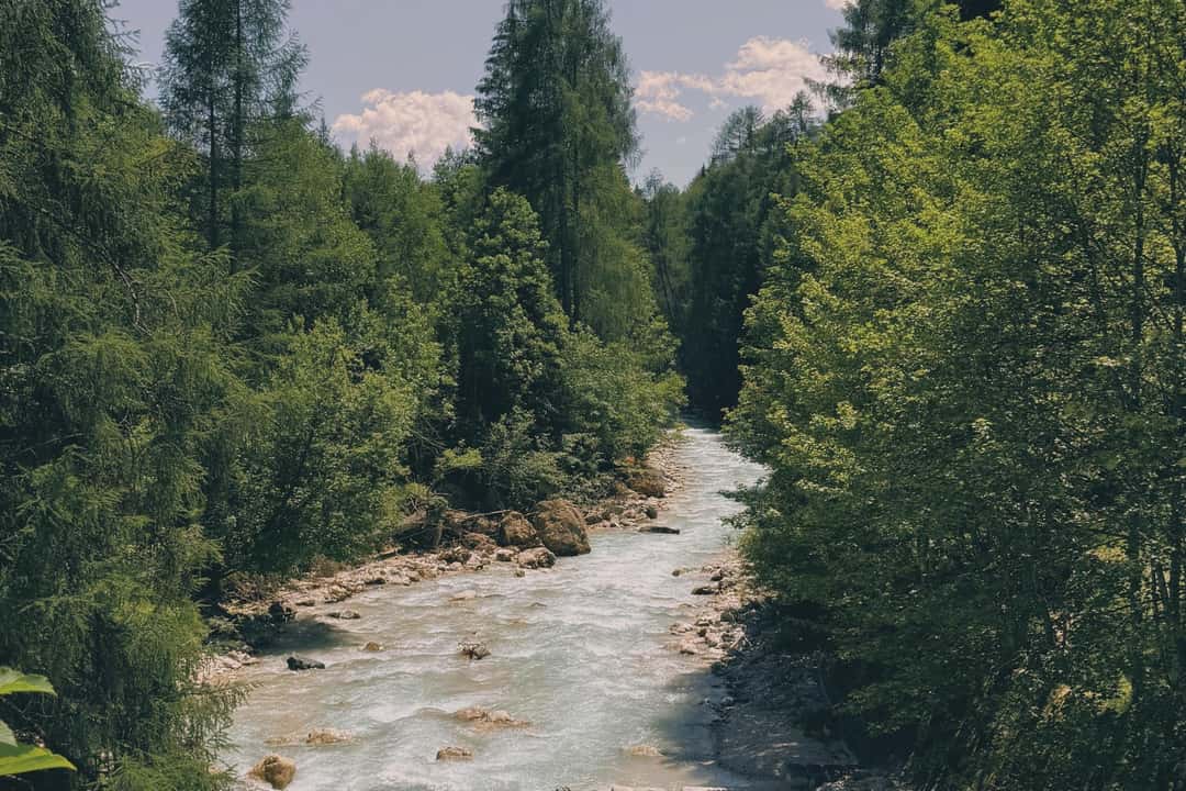 Wycieczka o wschodzie słońca z lisem, zdjęcie 4
