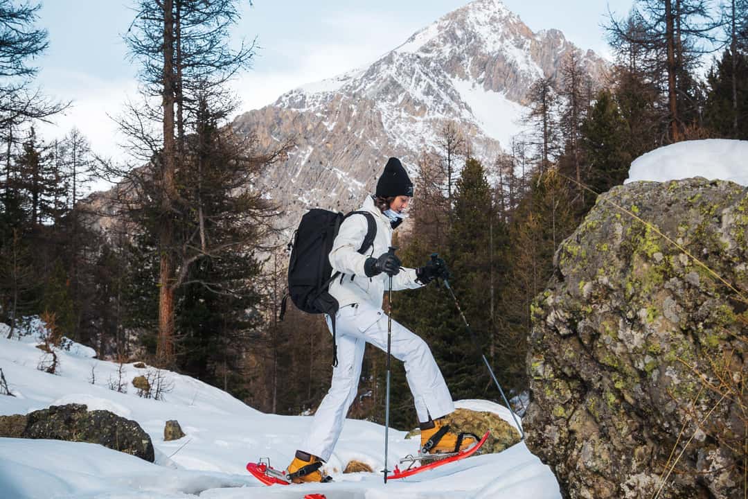 Truger i den snødekte skogen, bilde 5