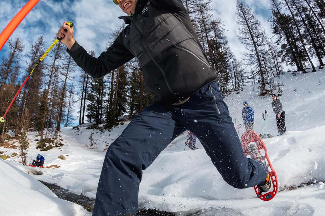 Truger i den snødekte skogen, bilde 4