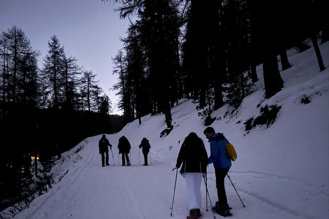 Trugetur under stjernene, bilde 5