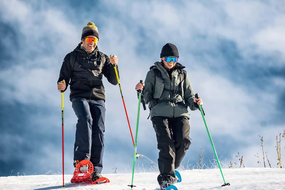 Truger i den snødekte skogen, bilde 3