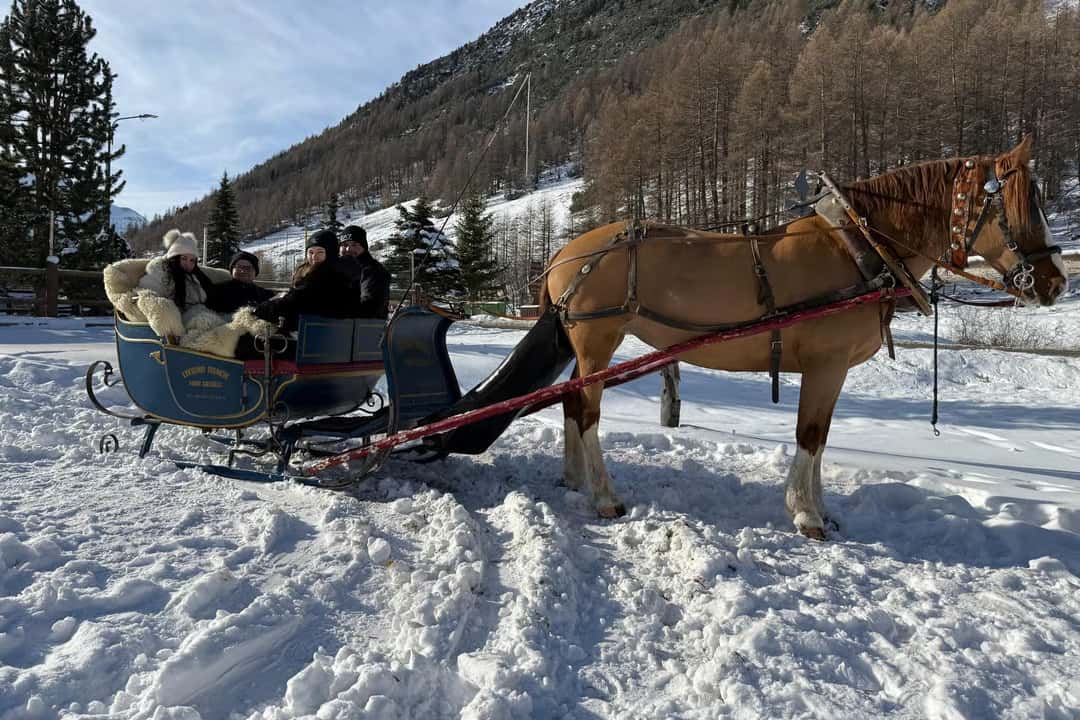 Hest og slæde med tæpper, billede 3