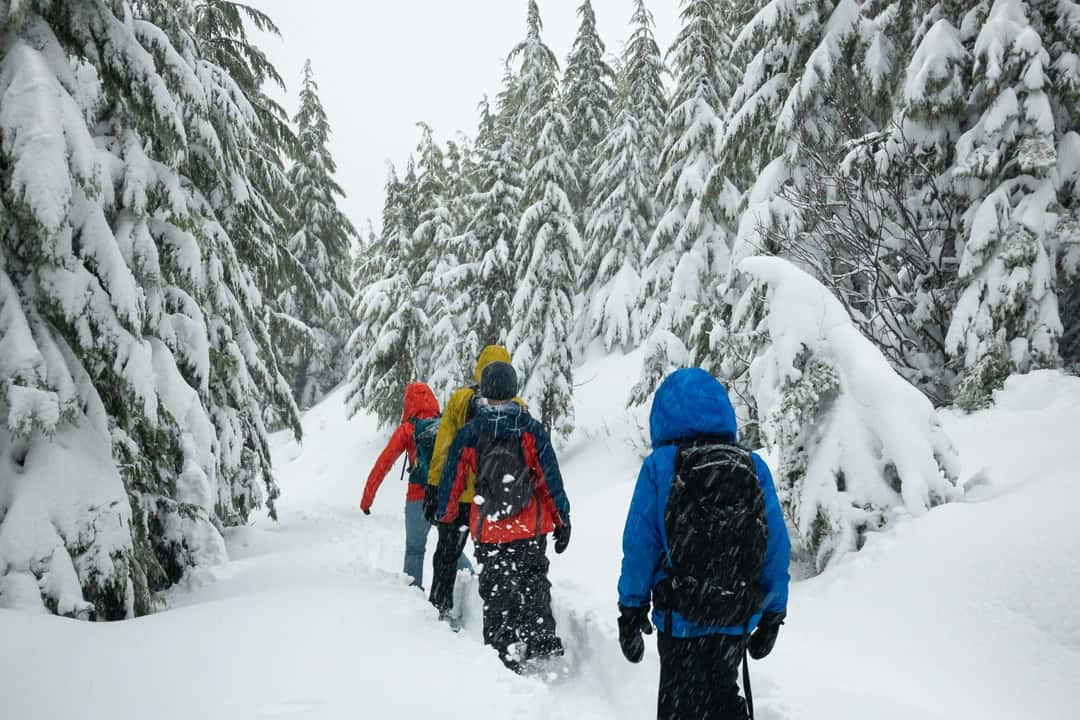 Snöskovandring under stjärnorna