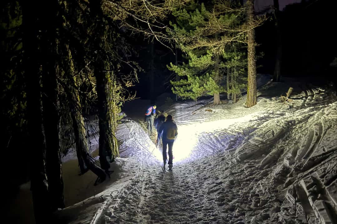 Trugetur under stjernene, bilde 4