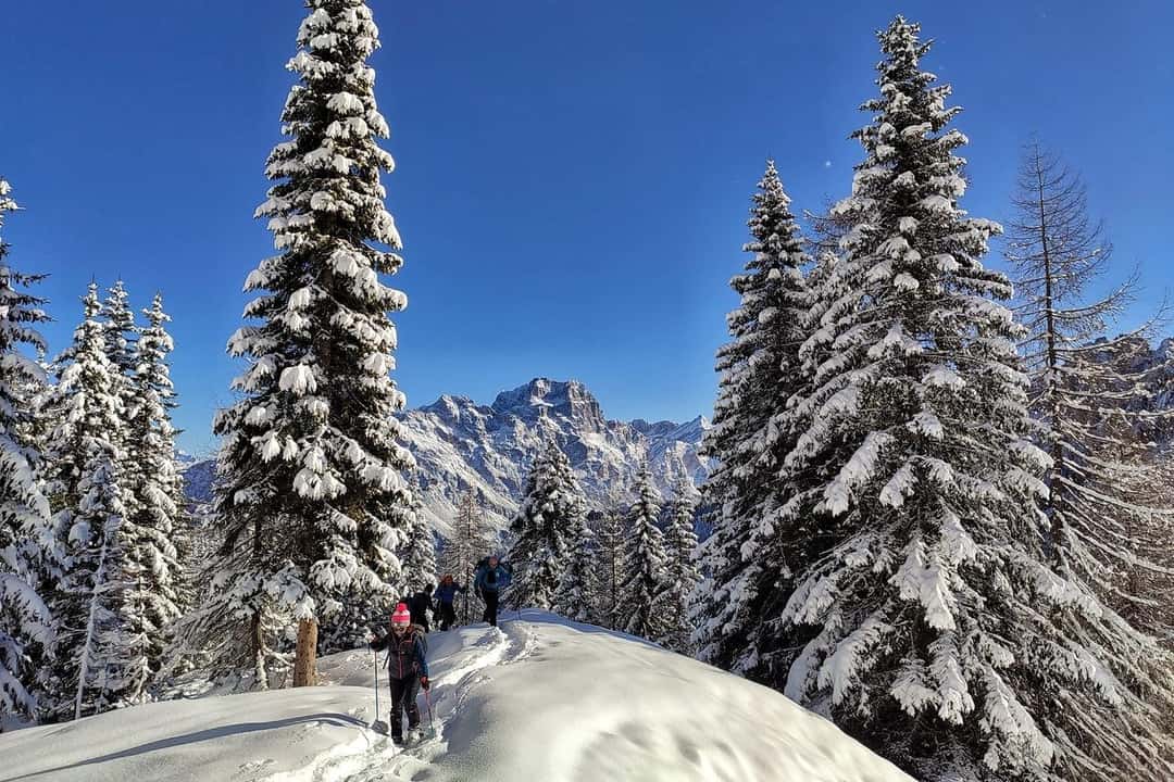 Wycieczka z przewodnikiem po śniegu w Dolomitach, zdjęcie 3