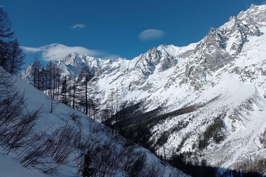 Guidet snesko-tur på Mont Blanc, billede 4
