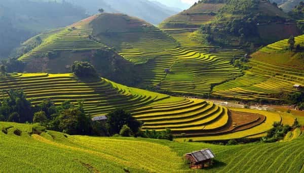 Sapa Fullday Jeep Expedition — photo 3 of 25