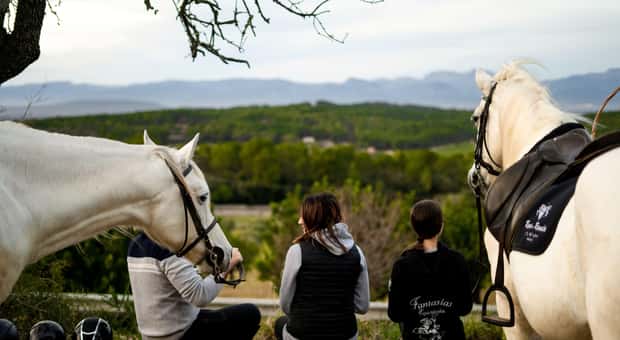 Sunset horseback ride in Randa