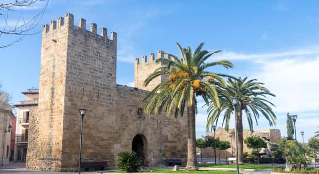Formentor, Markt & Alcúdia: Tagesausflug
