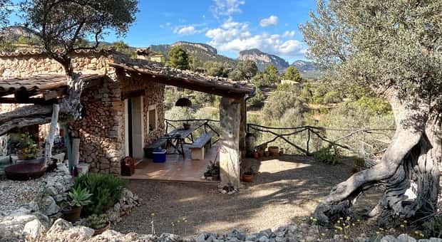 Ceramic painting workshop in an olive grove
