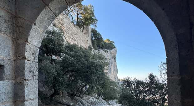 Blue Zone longevity hike to Castell d'Alaró