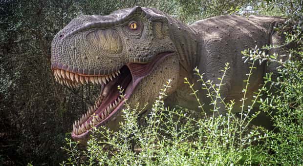 Dinosaurland: Tour ab Palma de Mallorca