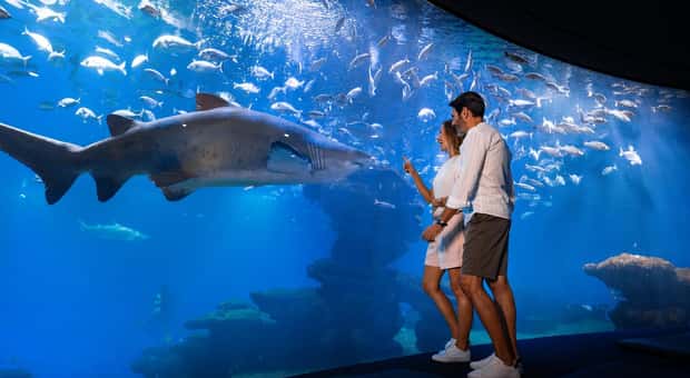 Palma Aquarium Ticket (optionales 3D-Kino)