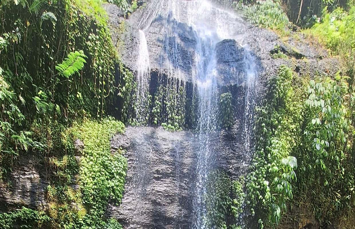 Ubad Rice Bali: Tegenungan Waterfall, Ubud, and Rice Fields Tour - 2026 (Verified ...